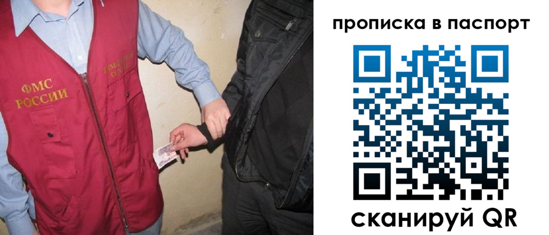 прописка для школы в Смоленске